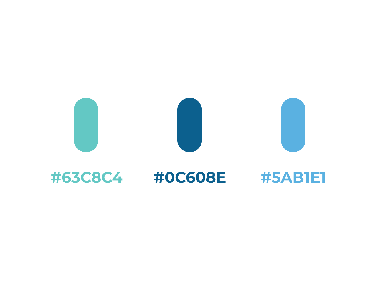 Global Health Solutions palette: 63C8C4, 0C608E and 5AB1E1